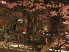 -蓝鲸湾汤泉(包河店)