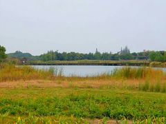 -梁鸿国家湿地公园