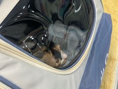 -贝康宠物医院·犬猫全科·小动物特色诊疗中心(东环路店)
