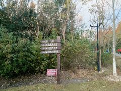 -上海海湾国家森林公园