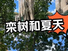 -观山湖公园