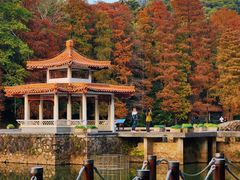 -深圳仙湖植物园