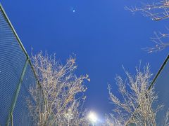 -瀛海足球主题公园