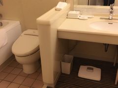-京都全日空皇冠假日酒店