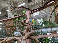 -南宫五洲植物乐园