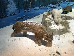 -呼伦贝尔民族博物馆