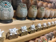 -猫咪博物馆(顶澳仔猫街店)