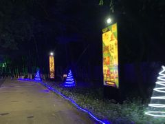 -枫花园汽车电影院(朝阳公园店)
