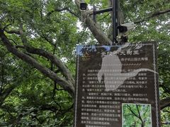 -幕燕滨江·燕子矶公园