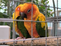 -大连森林动物园