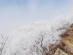 -阳台山自然风景区