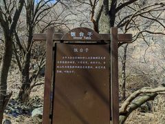 -阳台山自然风景区