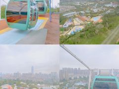 -凤岭儿童公园