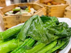 菜心-海南大院(海甸岛店)