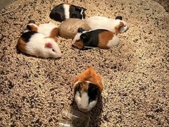 -常州海昌海洋探索馆