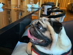 -西安浐灞艾美酒店·汉江餐厅·火锅