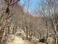 -崂山巨峰游览区