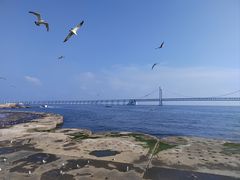 -星海广场