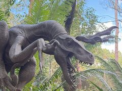 -奥兰多迪士尼动物王国乐园