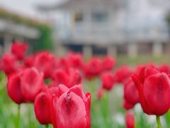 -玄武湖景区-情侣园游乐场