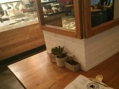 -油梨树 AVOCADO TREE(亮马桥店)