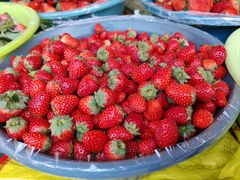 -南坛综合农贸市场