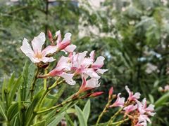-招商局历史博物馆