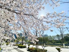 -无锡新湖铂尔曼大酒店