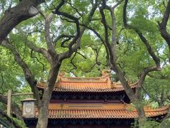-普陀山风景名胜区-法雨禅寺