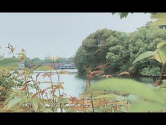 -天目湖山水园