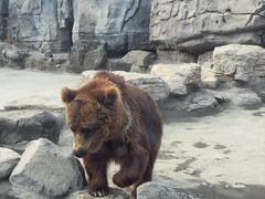 -北京野生动物园