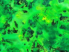 -上海证券交易所(上海证券大厦北塔店)