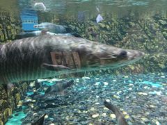 -海合安武汉极地海洋公园