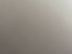 -阿拉丁新疆风味餐厅·清真(罗廊巷店)