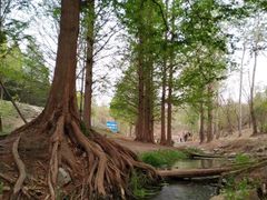 -白水寺森林公园