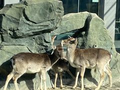 -西安秦岭野生动物园