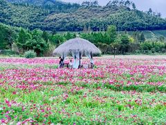 -径山花海
