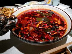 -雲蜀龙阁·金牌水煮鱼(方庄店)