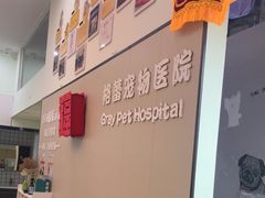 -格蕾宠物医院24H·猫科·肿瘤科·骨科中心(福州总院)