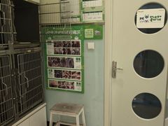 -悦宠凯宝动物医院·牙科·皮肤科(朝阳北路店)