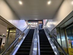 -鹏欣水游城