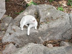 -崂山九水游览区