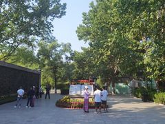 -大槐树寻根祭祖园