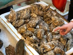 -芦潮港集贸市场