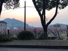 -桃花岛景观公园