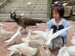 -栾川竹海野生动物园