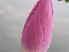 -微山湖湖畔好客居鱼馆渔家菜(微山湖风景区店)