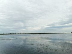 -白洋淀景区