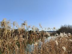 -乌龙涧铁道铁轨景