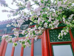 -元大都城垣遗址公园